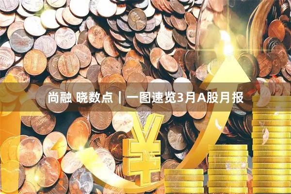 尚融 晓数点｜一图速览3月A股月报