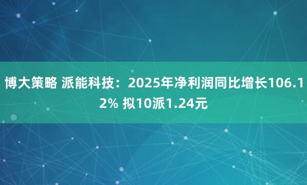 博大策略 派能科技：2025年净利润同比增长106.12% 拟10派1.24元